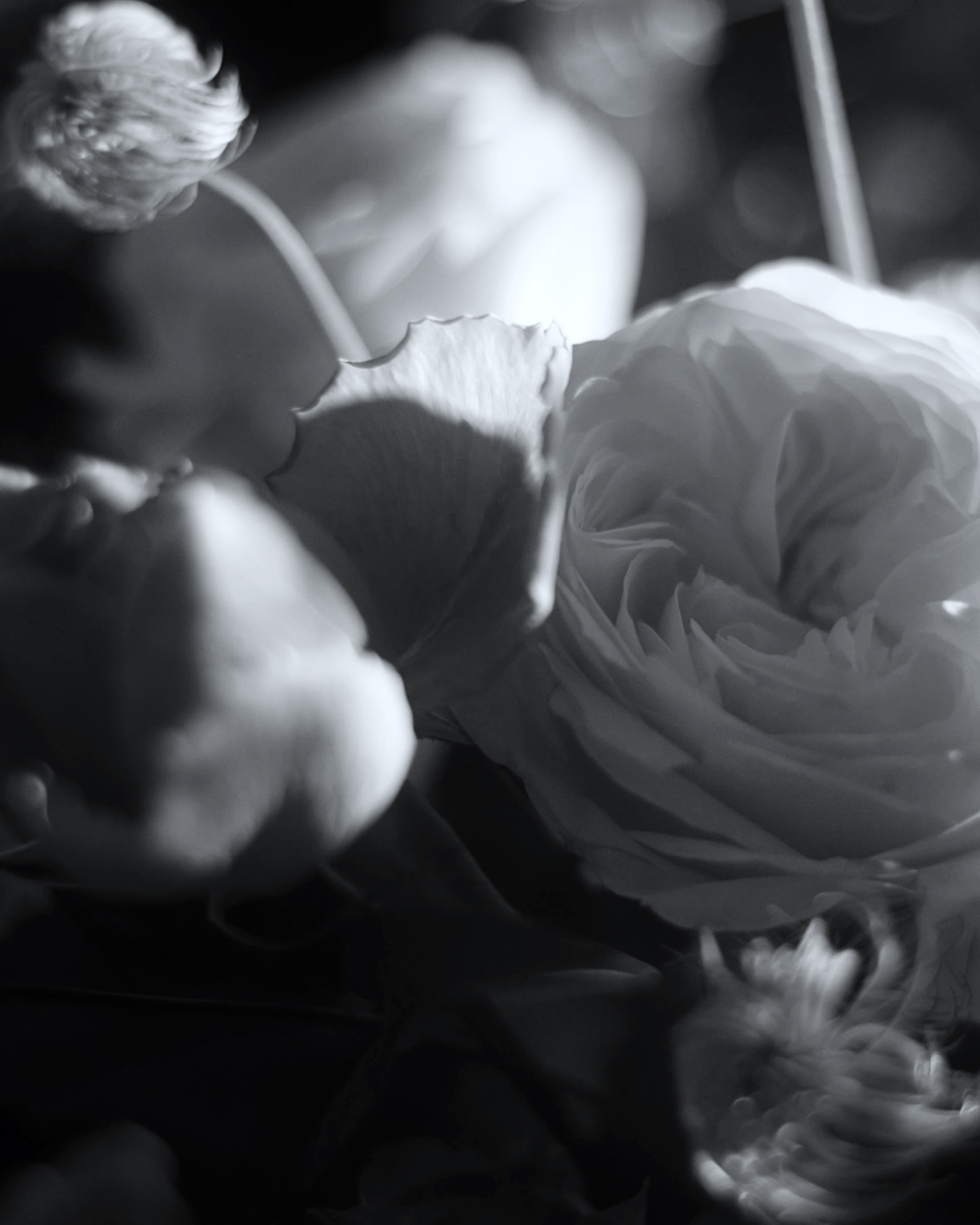 Mark Castle | Film Director & Content Creator, home: Works (Fig. 39)