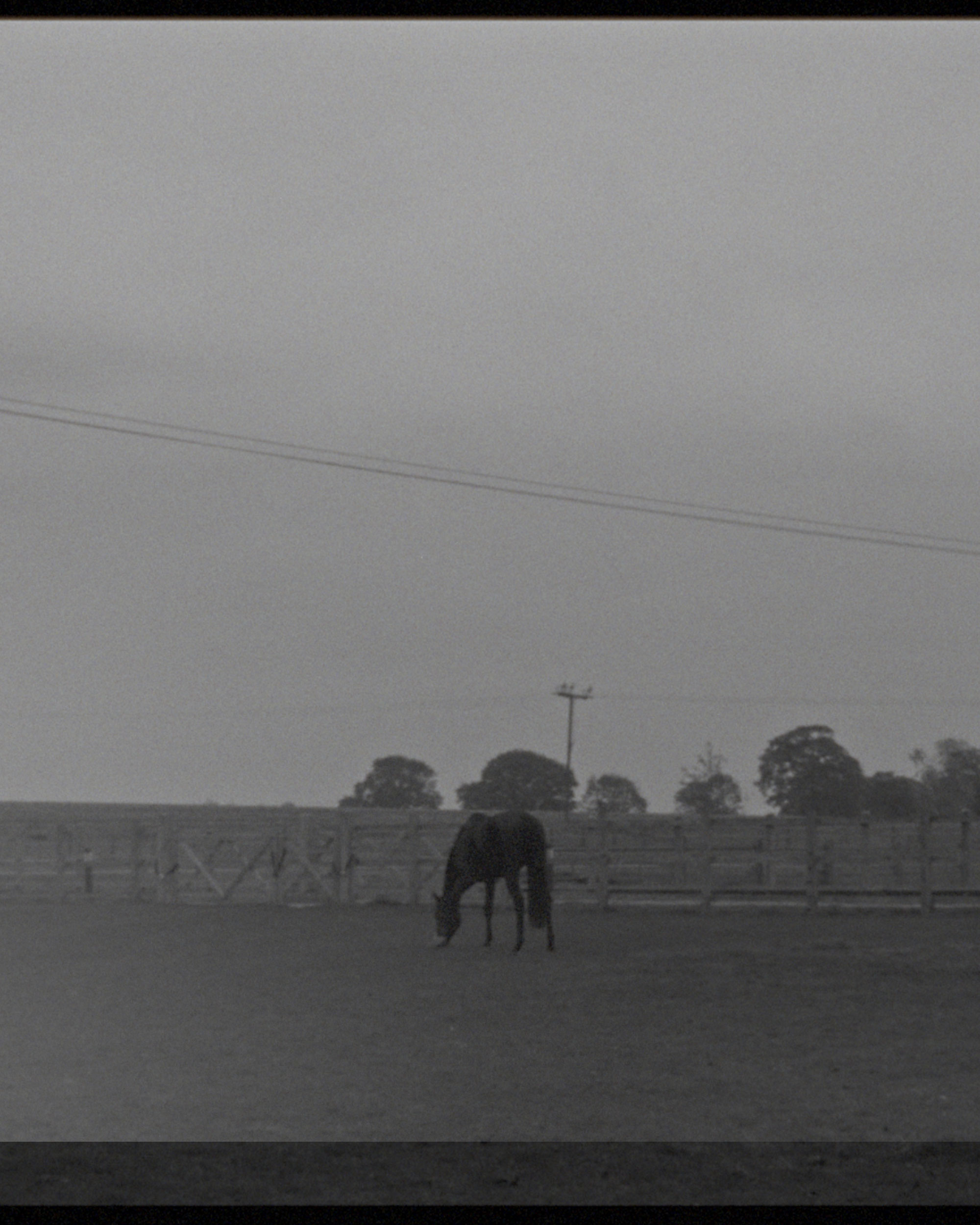 Mark Castle | Director, project: LAVENHAM | MADE IN SUFFOLK (Fig. 7)