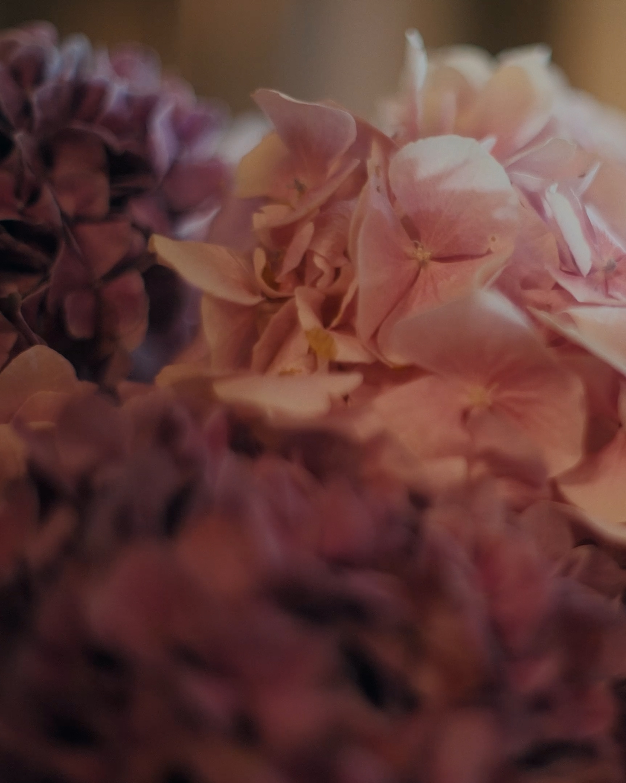 Mark Castle | Film Director & Content Creator, home: Works (Fig. 60)