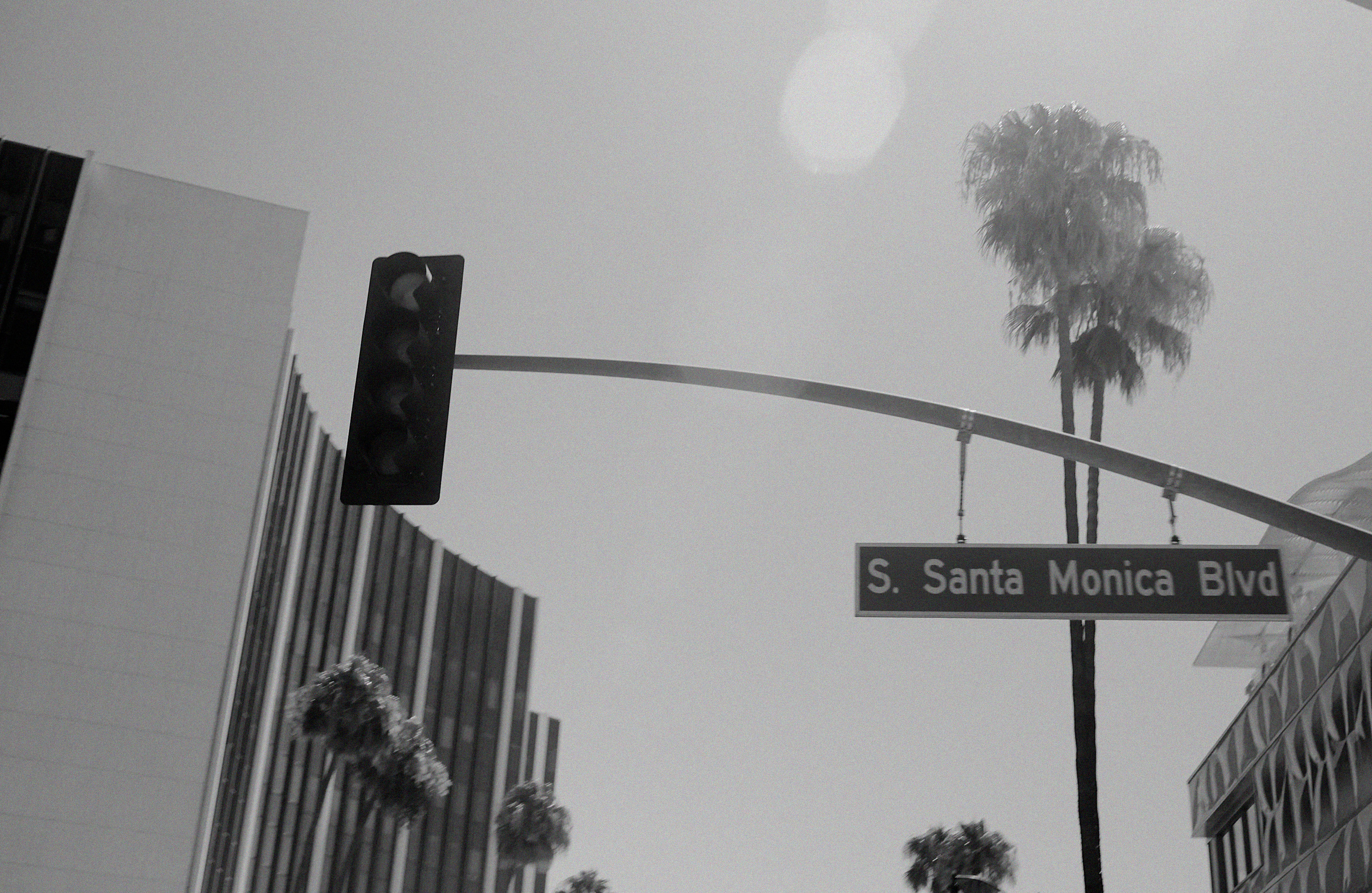 Mark Castle | Director, project: ROSEWOOD BEVERLY HILLS (Fig. 2)