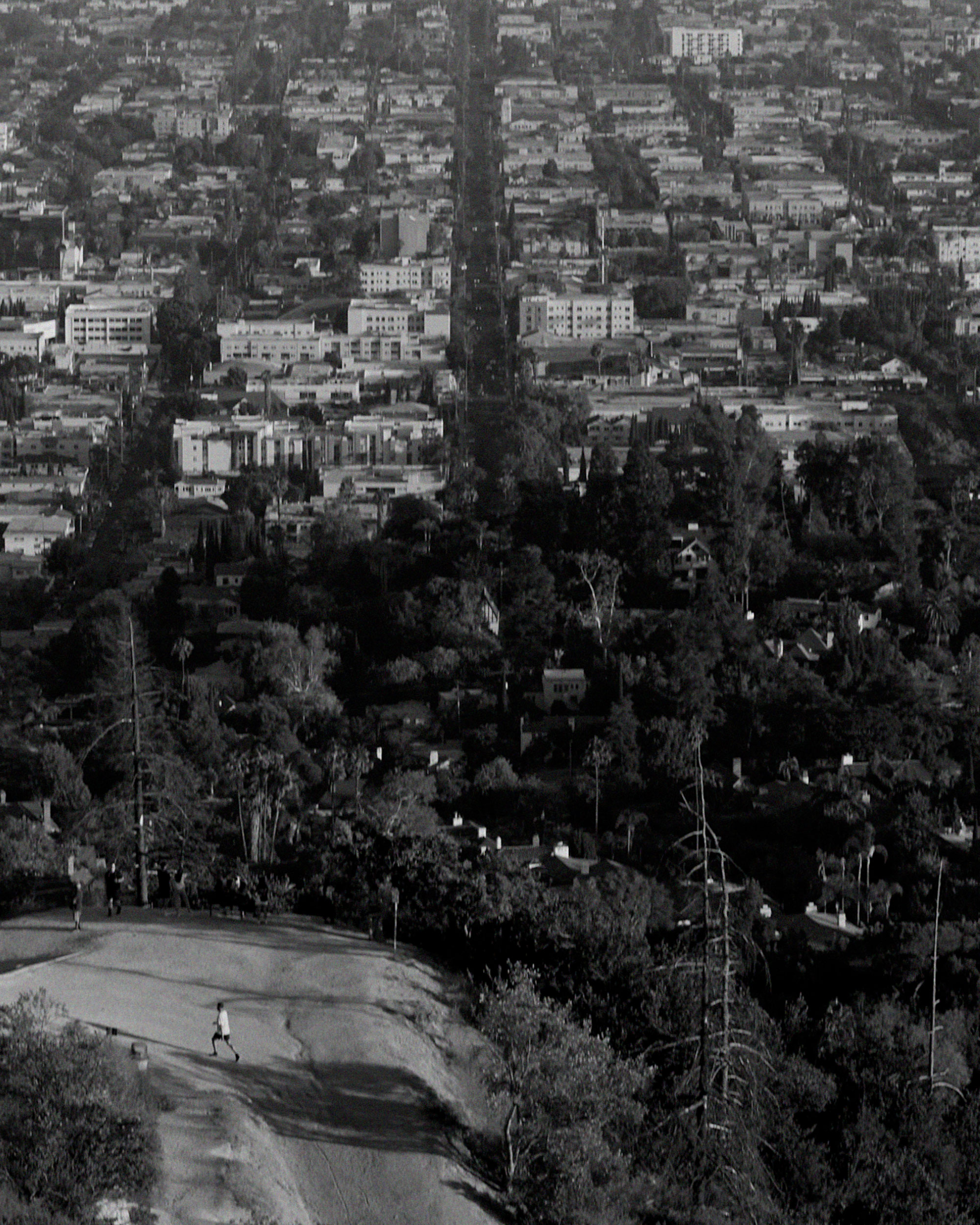 Mark Castle | Director, project: ROSEWOOD BEVERLY HILLS (Fig. 3)