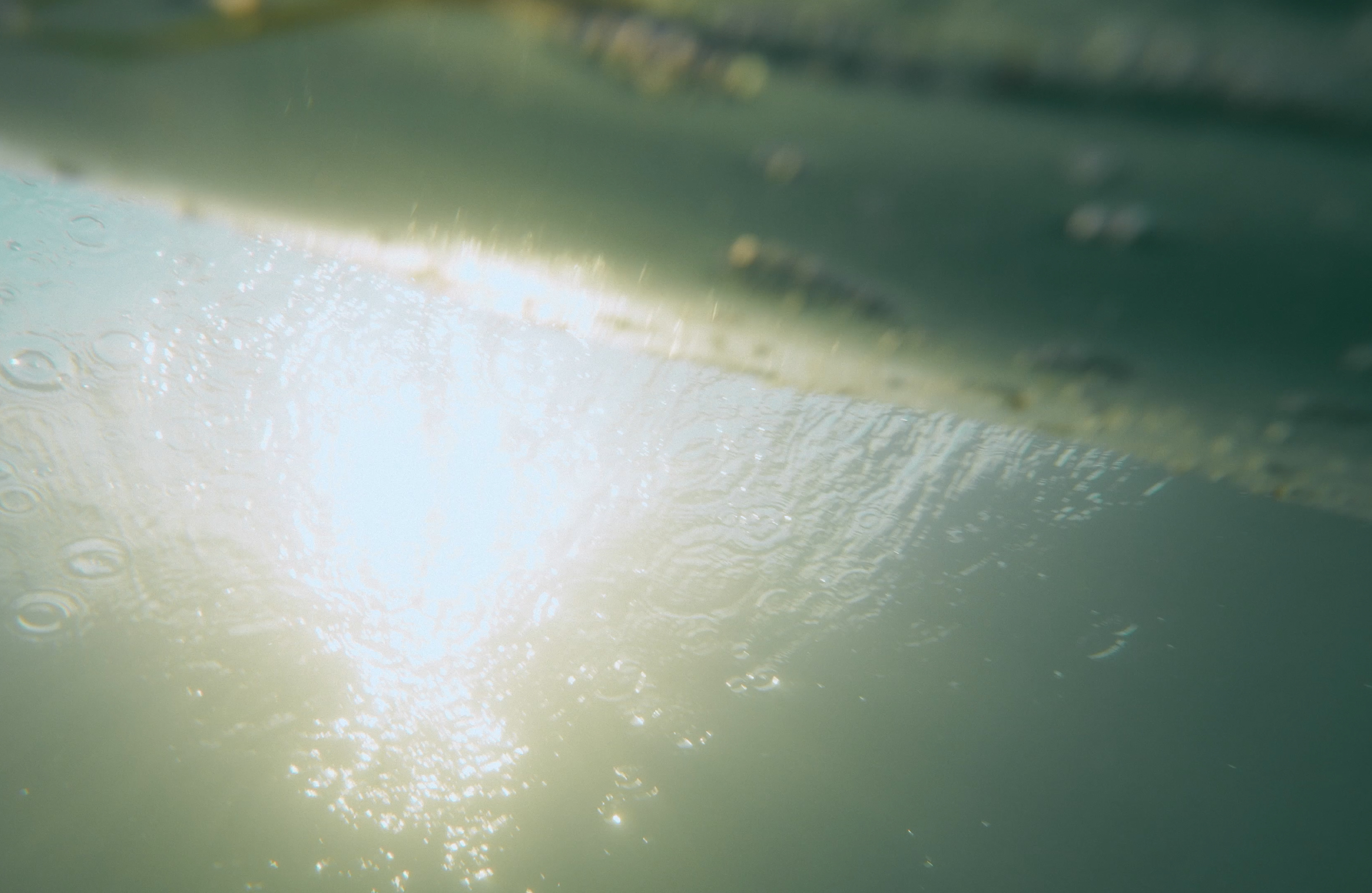 Mark Castle | Director, project: SILA BY NOVAK DJOKOVIC (Fig. 11)
