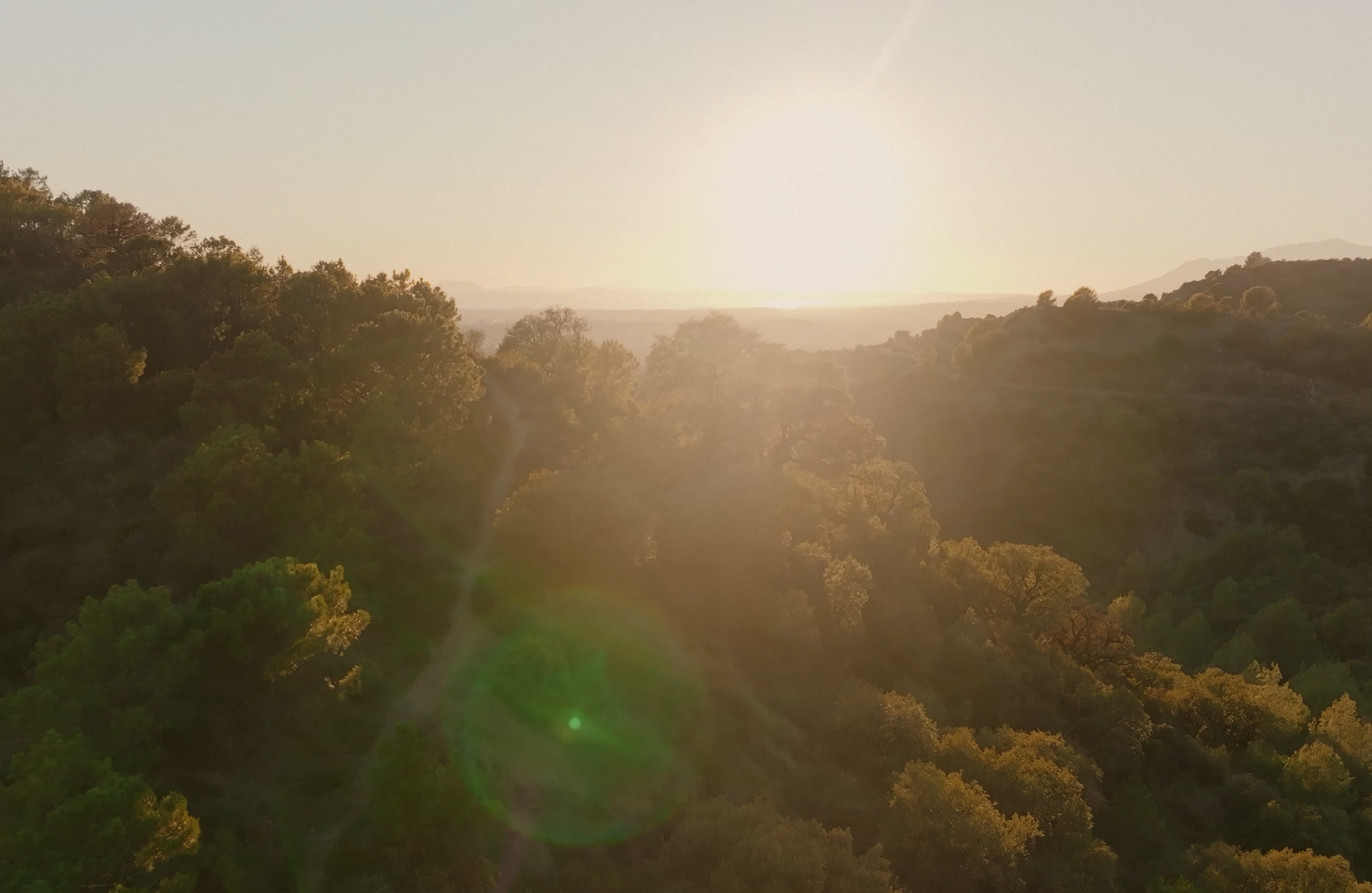 Mark Castle | Director, project: SILA BY NOVAK DJOKOVIC (Fig. 9)